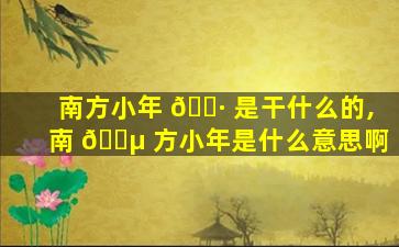 南方小年 🌷 是干什么的,南 🐵 方小年是什么意思啊
